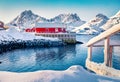 Bright winter view of small fishing village - Molnarodden, Lofoten Islands, Norway Royalty Free Stock Photo