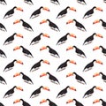 Bright wonderful beautiful lovely sophisticated jungle tropical black and white toucan bird diagonal pattern watercolor hand