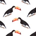 Bright wonderful beautiful lovely sophisticated jungle tropical black and white toucan bird diagonal pattern watercolor