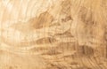 Bright wooden abstract background from oak slab