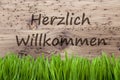 Bright Wooden Background, Gras, Herzlich Willkommen Means Welcome