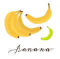 Bright yellow banana isolated icon. Fresh tropical fruit for farm market Royalty Free Stock Photo