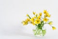 Bright yellow big sunflowers in glass vase on dark table on light texture background. Mockup banner with sunflower Royalty Free Stock Photo