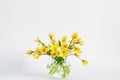 Bright yellow big sunflowers in glass vase on dark table on light texture background. Mockup banner with sunflower Royalty Free Stock Photo