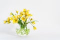 Bright yellow big sunflowers in glass vase on dark table on light texture background. Mockup banner with sunflower bouquet with Royalty Free Stock Photo