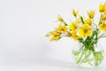 Bright yellow big sunflowers in glass vase on dark table on light texture background. Mockup banner with sunflower Royalty Free Stock Photo