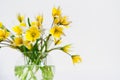 Bright yellow big sunflowers in glass vase on dark table on light texture background. Mockup banner with sunflower Royalty Free Stock Photo