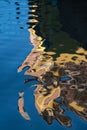 Building reflected in the water of the canal Royalty Free Stock Photo