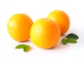 Bright yellow color of citrus oranges fruits with green leaves.