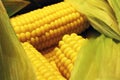 Bright yellow cooked corn with salt and leaves