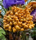 bright yellow dates Red dates, sweet, fragrant, crisp3