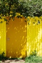 Bright yellow door and yellow fence with cherry tree. Private sector in the south of Russia