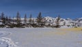 Bright yellow dry grass, footprints and tire tracks are visible on the snow