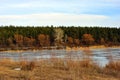 Bright yellow dry grass hill on river bank, pine forest with willows and aspen without leaves along, blue cloudy sky Royalty Free Stock Photo