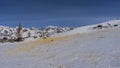 Bright yellow dry grass is visible on the snow-covered hillside Royalty Free Stock Photo