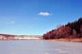 Bright yellow dry reeds along lake bank covered with ice, pine forest and snowy hill