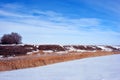 Bright yellow dry reeds on hills of river bank covered with snow, trees without leaves on horizon, blue cloudy sky Royalty Free Stock Photo