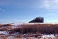 Bright yellow dry reeds on hills of river bank covered with snow, trees without leaves on horizon, blue sky background Royalty Free Stock Photo