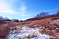 Bright yellow dry reeds on hills of river bank covered with snow, trees without leaves on horizon, blue sky background Royalty Free Stock Photo