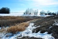 Bright yellow dry reeds on river bank covered with snow, blue sky Royalty Free Stock Photo