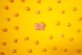 One easter bunny cookie among bean candies on yellow background