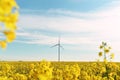 Bright yellow field of rapeseed flowers and a wind generator on a sunny day. Royalty Free Stock Photo