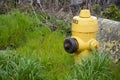 Bright Yellow Fire Hydrant Close Up Royalty Free Stock Photo