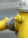 Bright Yellow Fire Hydrant with a Fire Hose attached, Spraying Water where its connected