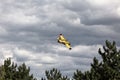 Bright Yellow Firefighter Plane in a Cloudy Sky