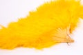 Bright yellow fluffy female fan Royalty Free Stock Photo