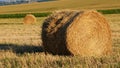 Bright yellow and golden Haystacks on agricultural field in sunny autumn day. Haystacks on the field, close-up view Royalty Free Stock Photo