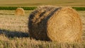 Bright yellow and golden Haystacks on agricultural field in sunny autumn day. Haystacks on the field, close-up view Royalty Free Stock Photo