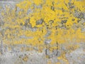 Bright yellow and gray color weathered concrete background Royalty Free Stock Photo