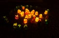 Bright yellow and green candle lights in the dark Royalty Free Stock Photo
