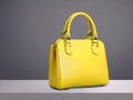 A Bright Yellow Handbag that Takes the Show.