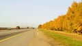 Bright autumn road wiht bright trees along it Royalty Free Stock Photo