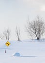 Bright Yellow left turn sign placed and drowned in a snowy field with bare trees on the background.