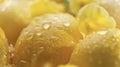 A of bright yellow lemons are the focus of the fourth image. The skin of the fruits is smooth and glossy with tiny