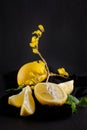 Bright yellow lemons, slices, rustic food photography on dark slate plate kitchen table Royalty Free Stock Photo