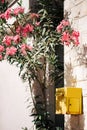 A bright yellow mailbox on a white wall by a bush with pink oleander flowers.