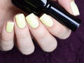 Bright yellow manicure with black stripes and sunflowers pattern on black background Royalty Free Stock Photo