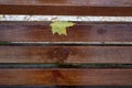 Bright yellow maple leaf lies on a white wooden bench. visible drops of water. close up. autumn came Royalty Free Stock Photo