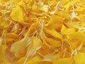 Bright yellow marigold background