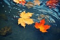 bright yellow-orange fallen maple leaves in dark blue water. Autumn natural background. autumn atmosphere image. symbol of fall Royalty Free Stock Photo