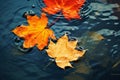 bright yellow-orange fallen maple leaves in dark blue water. Autumn natural background. autumn atmosphere image. symbol of fall Royalty Free Stock Photo