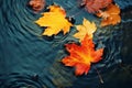 bright yellow-orange fallen maple leaves in dark blue water. Autumn natural background. autumn atmosphere image. symbol of fall Royalty Free Stock Photo