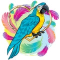 Bright yellow parrot bird with blue wings