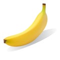 Bright yellow ripe banana