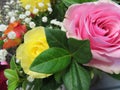 A bright yellow rose and a pretty pink rose in a gorgeous bouquet of multicolored roses.