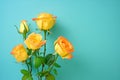 bright yellow roses popping against a green backdrop Royalty Free Stock Photo